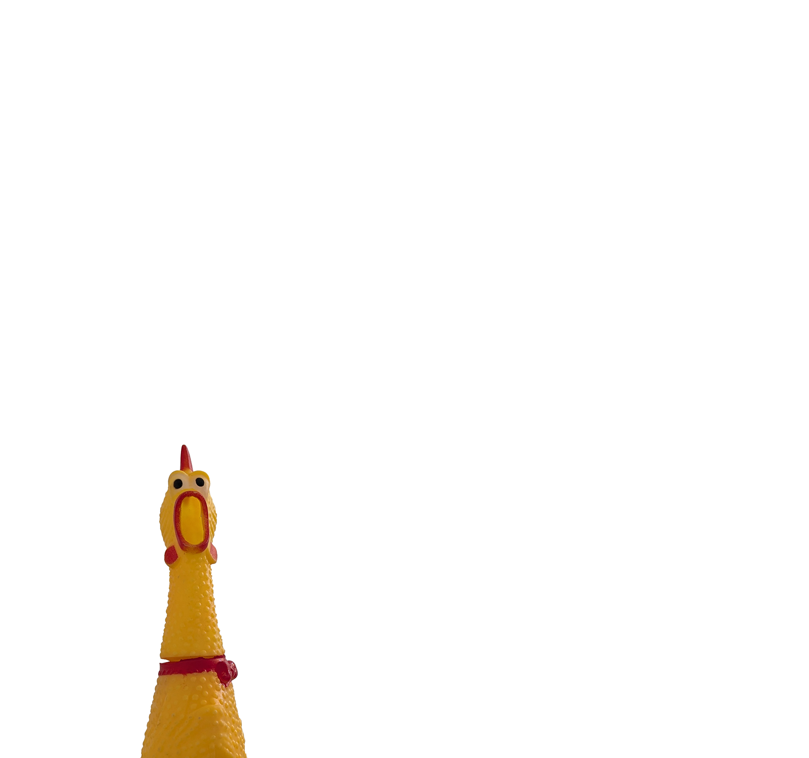 chick_4